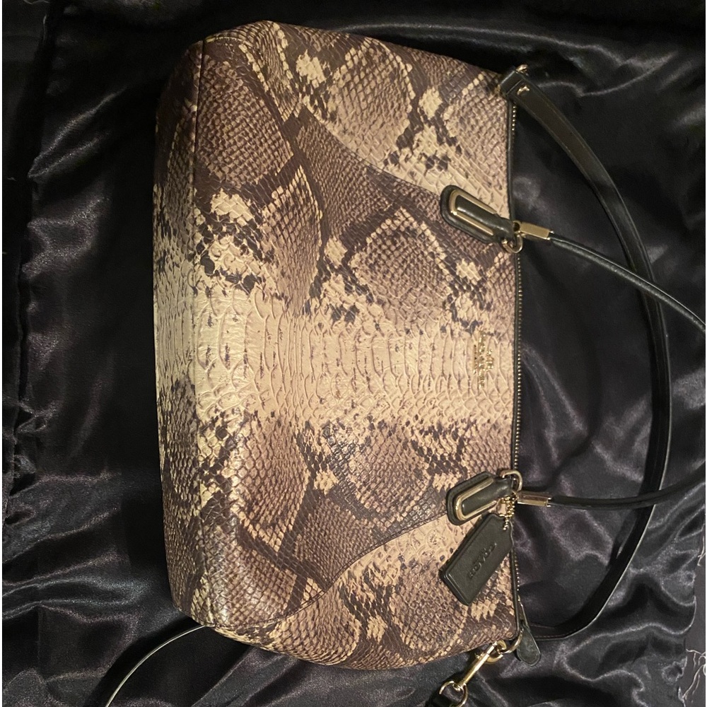Snake skin design Coach bag.